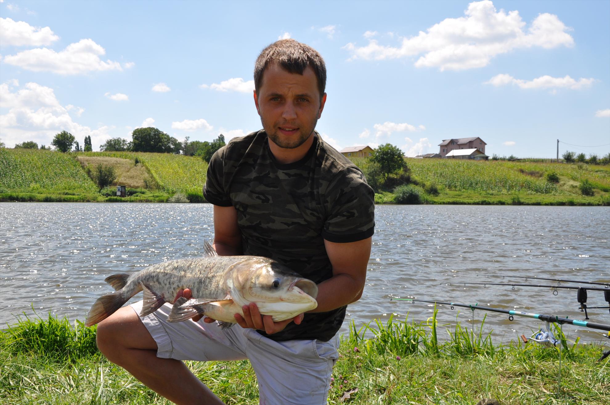  GREENFISH - dsc0074.JPG